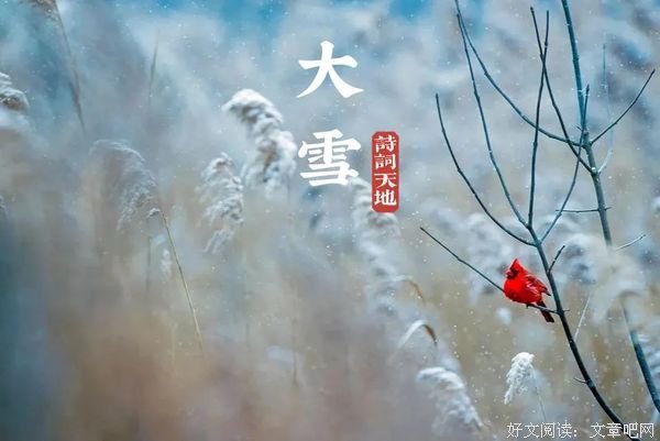 大雪芬芳，时光温柔