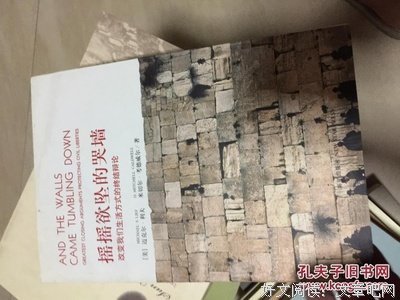 摇摇欲坠的哭墙读后感摘抄