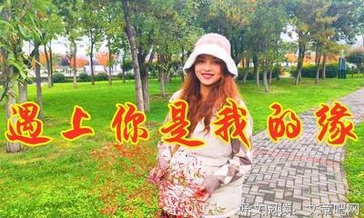 医龙-Team Medical Dragon读后感1000字