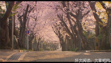 《我的初恋女孩》观后感100字