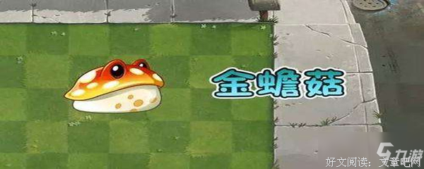 《珍宝大战》经典影评1000字