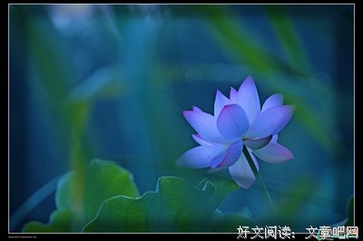 有关青的句子