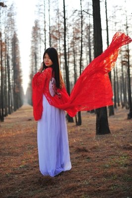 关于渡·红尘的优美句子
