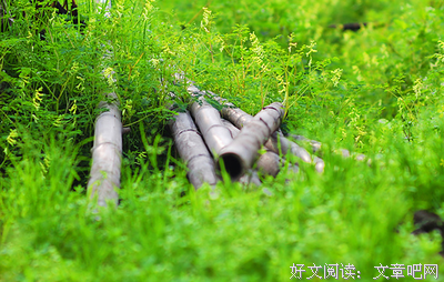 关于盛衰荣辱，皆在一念地起妈间的句子