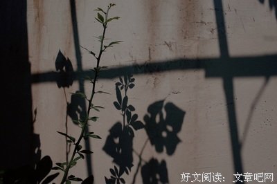看个人主毛好词好句