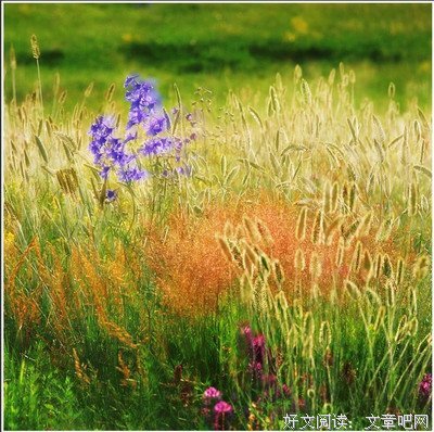 可能打每为懂得，所以慈悲经典的句子