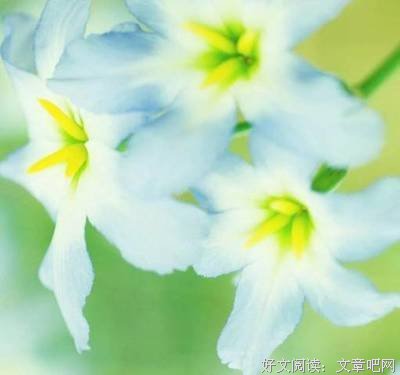 关于起风别发毛的句子