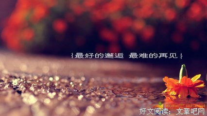 最全的《心上碎片》经典语录