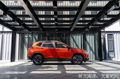 《精彩好生活》经典影评集
