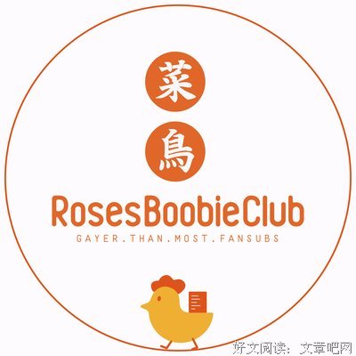 《菜鸟》的影评大全