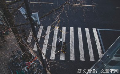 《鸡汤有毒》句子