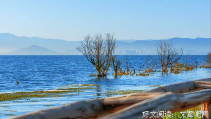 风景美不过沿途的优美句子