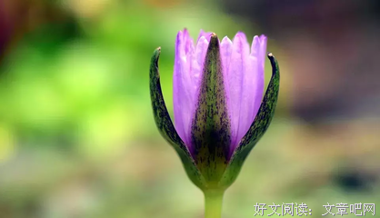 浮下觉学清欢名句欣赏