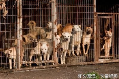 最新的《红尘拾爱》好段摘抄