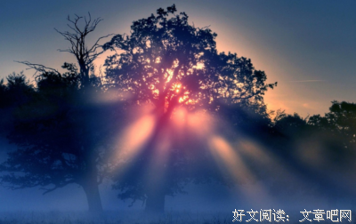 最经典的《思绪万千》好段摘抄