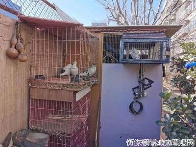 千万别高估任何一段关系！