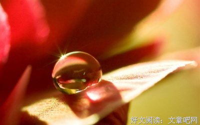 人再穷，别靠亲！（太现实）