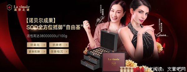 《温莎之谜》影评摘抄