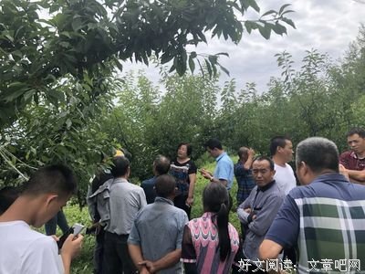 《乌龙特派员》经典观后感集
