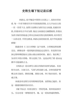 《史铁生精选集》读后感100字