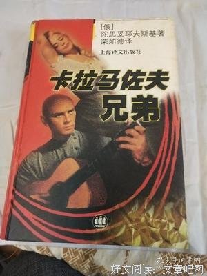 卡拉马佐夫兄弟（上下）读后感100字