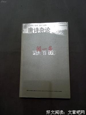 唐诗杂论读后感精选
