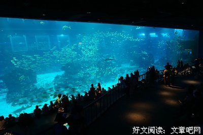 没什么的名言_关于没什么的名言