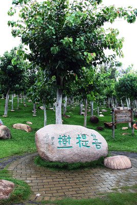 麻烦的名人名言