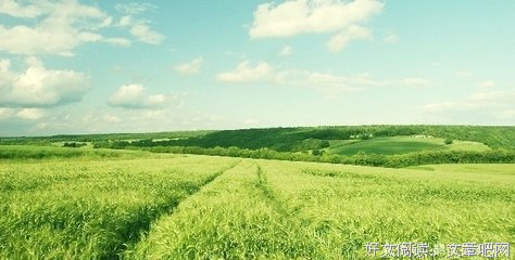 关于过日子的语句