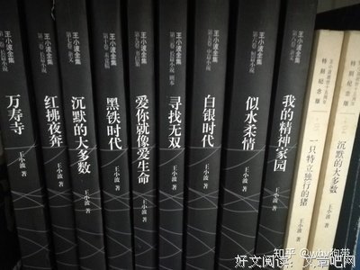 王小波全集（第二卷 杂文）的读后感大全