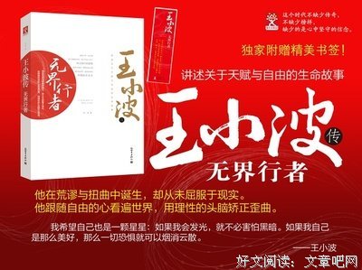 王小波全集（第三卷 长篇小说）经典读后感有感