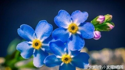 迤逦多是你好词好句