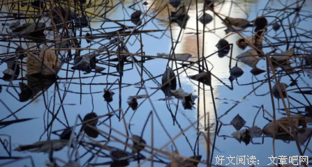 晚秋的诗
