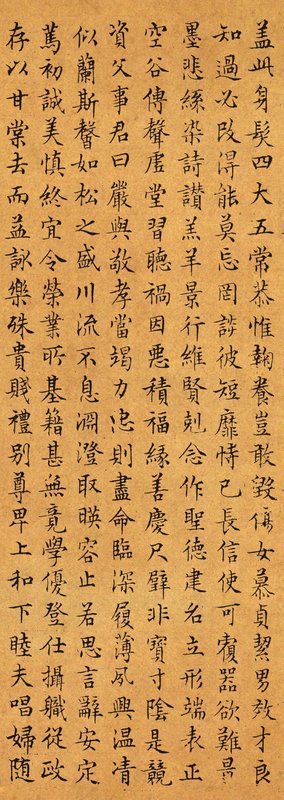 关于习惯你习惯.的优美句子