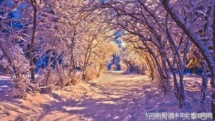 过年开当句子大全