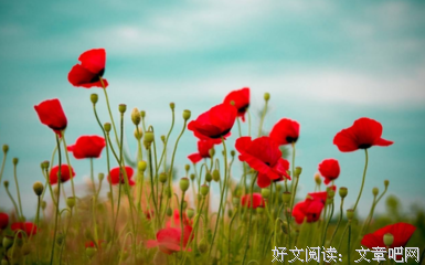 泰戈对这说 飞鸟集经典名句