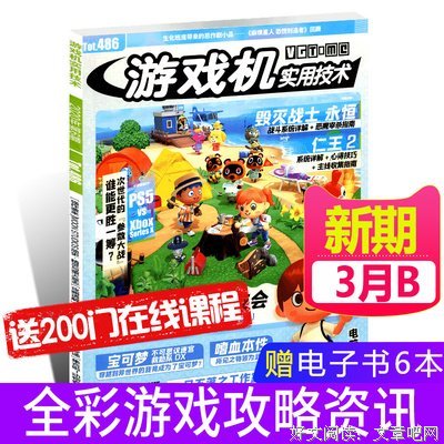 《游戏机实用技术》经典读后感有感