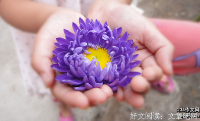 《在追问中逼近真实》读后感精选