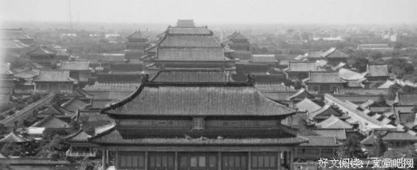 《东宫·西宫》读后感100字