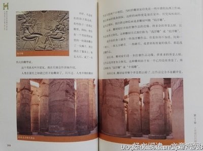 启蒙辩证法读后感100字
