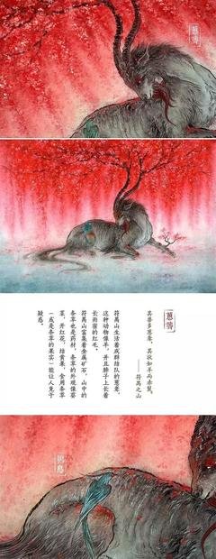《视觉品味》读后感精选