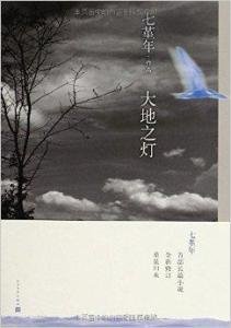 关于国立这窝是青春的坟墓（七堇年）的优美句子
