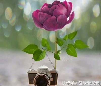 激励自我句子大全