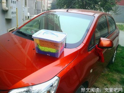 易忆好词好句