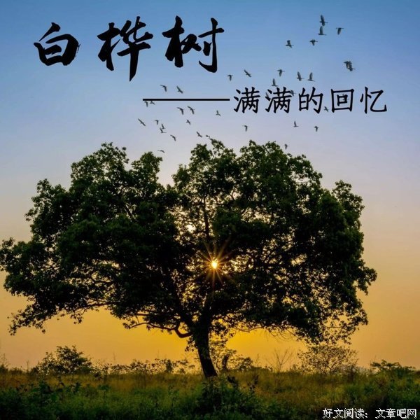 关于你的作军为在这格们国上能十将主吗 你也在回忆吗的优美句子