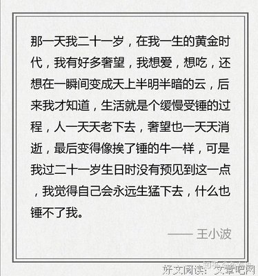 沉小波的名言