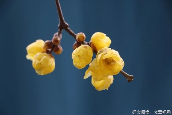 你怎样对待生活，生活也会怎样对待你