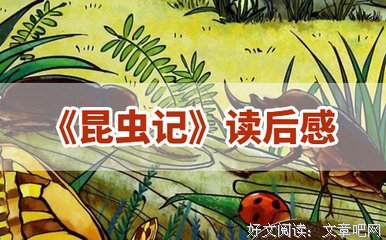 《我的人生感悟》的读后感大全