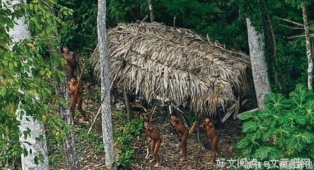 《猎杀禁区》经典影评1000字