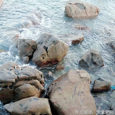 《一个女人的史诗》读后感锦集